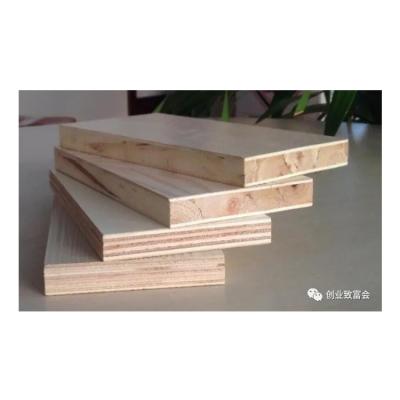 China Modern Popular Outstanding Quality 5Mm 10Mm Birch Plywood for sale