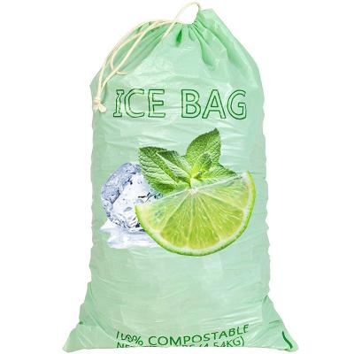 China Recyclable custom design 8lb 10lb iodegradable reusable plastic drawstring ice cube bag for ice packs for sale