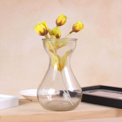 China New fashion classic/postmodern hydroponic modern home decor glass vase flower vase glass jar with color for sale