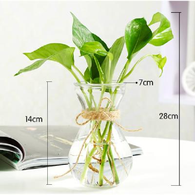 China New Classic/Postmodern Hydroponic Vase, Home Modern Glass Flower Vase, Colorful Hyacinth Vase for sale