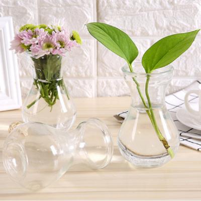 China Unique Art Glass Jar Hyacinth Vase With Fashion Modern Glass Vase Home Decor Flower Color for sale