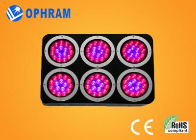 China High Power IP20 Full Spectrum LED Grow Lights for Seedling / Leafy for sale