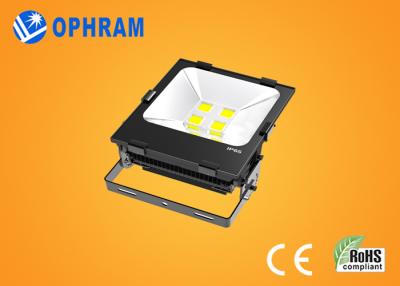 China 150W 5000K / 6000K COB High Power Led Floodlight Fixtures 90-110LM/W for sale