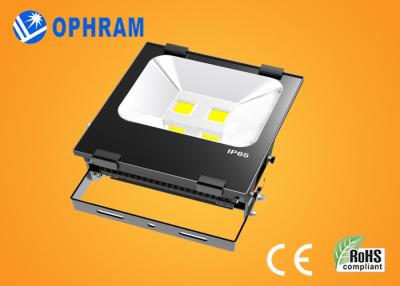 China PF 0.90 100W Epistar COB High Power Led Flood Light 2800K - 6500K for sale