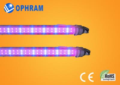 China 50Hz / 60Hz 230V / 240V Full Spectrum LED Grow Lights For Vegetable for sale