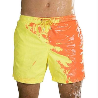 China Free Samples 6 Color 2021 New Arrival Summer Swimsuit Beach Wear Breathable Swimwear Swimwear For Men for sale