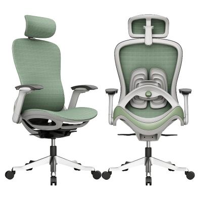 China Adjustable (Height) Guaranteed Modern Quality Unique Adjustable Lumbar Mesh Office Ergonomic Chair for sale