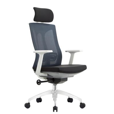 China Computer Swivel Mesh Executive Chair (Waist) High Back Adjustable Modern Ergonomic Design Office Back Chair for sale