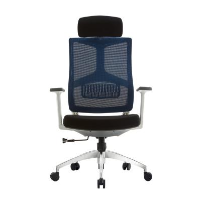 China Adjustable (Height) Guaranteed Quality Unique Modern Designer Ergonomic Mesh Office Chair Chair for sale