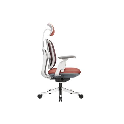 China Commercial Lightweight Luxury Office Computer Gaming Chair (Height)Adjustable Hot Selling Best Quality Adjustable for sale