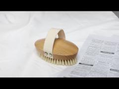 Vegan Exfoliator Dry Body Brush Back Brush