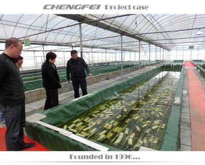 China Solid Structure Agriculture Used Commercial Aquaculture Greenhouse for sale