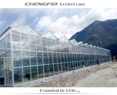 China No Welding Commercial Glass Greenhouse Greenhouse For Vegetable Hot Sale for sale