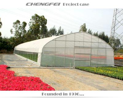 China Easy to assemble and stable structure easy assemble single-span vegetable greenhouse-agricultural-price greenhouses for sale for sale