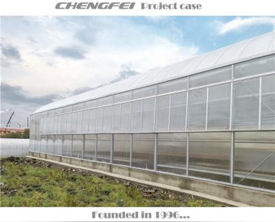 China Stable structure the cheapest high quality polycarbonate greenhouse agricultural equipment for sale for sale