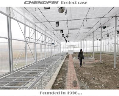 China Stable Structure Cheap ChengFei Sheets Greenhouse Multi-span UV Plastic Polycarbonate Greenhouse For Tomatoes for sale