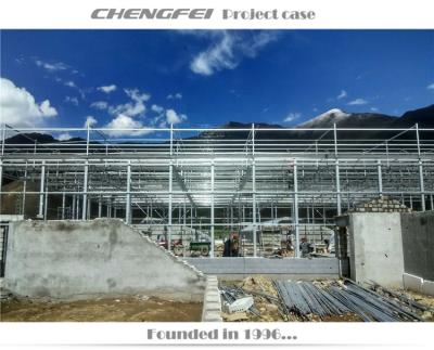 China ChengFei Invernadero Structure Polycarbonate Stable Agricultural Greenhouse Tomato Hydroponic Greenhouse For Sale for sale