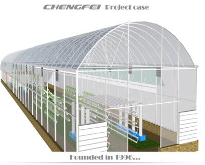 China Stable Structure ChengFei Polycarbonate Greenhouse In Multi-span Other Greenhouse For Agriculture for sale