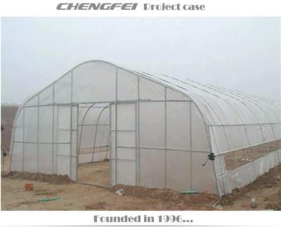 China Easy To Assemble And Stable Chengfei Factory Price Multi-span Type Tunnel Structure Hot Type Greenhouses for sale