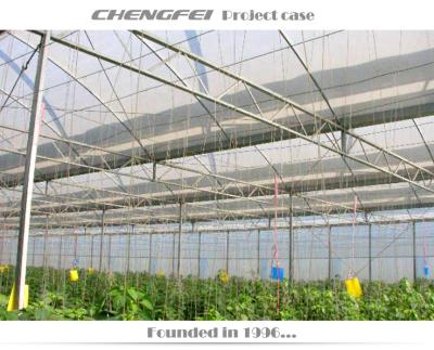 China Stable Structure High Quality Multi-span Plastic Film Greenhouse For Agriculture for sale