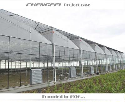 China Stable Structure Multi-Span Plastic Tomato Sawtooth Greenhouses For Sale for sale