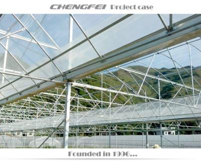 China Professional stable structure commercial horticulture film greenhouse for sale for sale