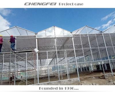 China No Welding Large Durable Agriculture Nursery Glass Greenhouse Used For Sale for sale