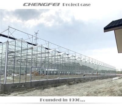 China No Welding ChengFei Greenhouses Supplier Used Galvanized Steel Glass Greenhouse Not Seen For Sale for sale