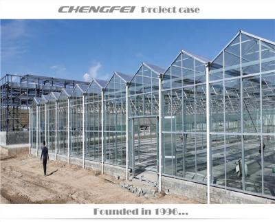 China No Welding Agriculture Venlo Multi Span Hydroponics Glass Greenhouse for sale