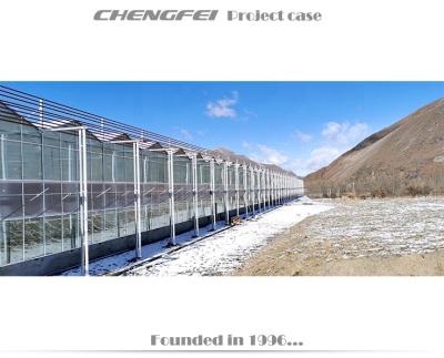 China No Welding Chinese Venlo Multi Span Glass Greenhouse For Agriculture Galvanized Steel for sale