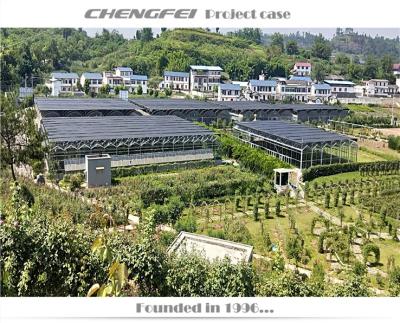 China No Welding Low Cost Manufacturer Venlo Glass Greenhouses for sale