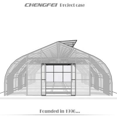 China Easy To Assemble And Stable Structure Cheap Chengfei Tunnel Growing China Polytunnel Automatic Greenhouse Dep Blackout Greenhouse for sale