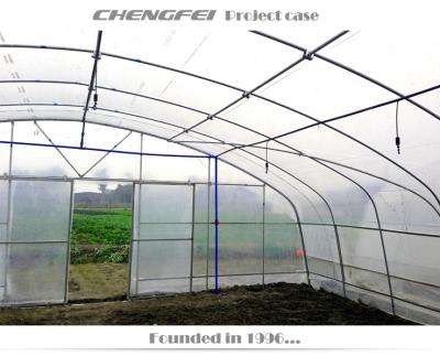 China Easy to Assemble and Stable Single-span Greenhouses Plastic Structure Tunnel Greenhouse Indoor Pier Growing Greenhouse For Sale for sale