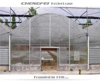 China Stable Hot Sale Polycarbonate Structure Greenhouse Systems Hydroponic Agriculture With Irrigation For Sale From China for sale