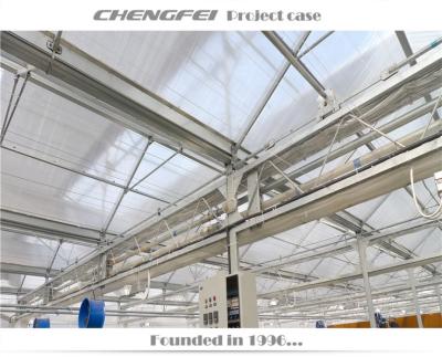 China Stable Price Durable Structure PC Polycarbonate Sheet Cheap Price Covered Greenhouse for sale