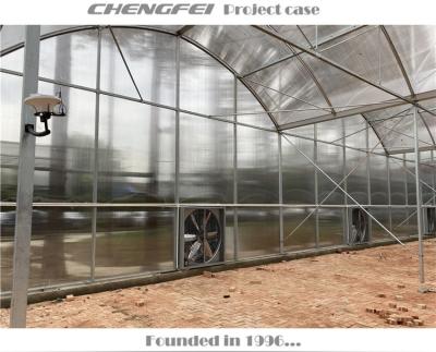 China Stable Structure Turkey Polycarbonate Sheet Large Commercial Greenhouse Gewachshaus for sale