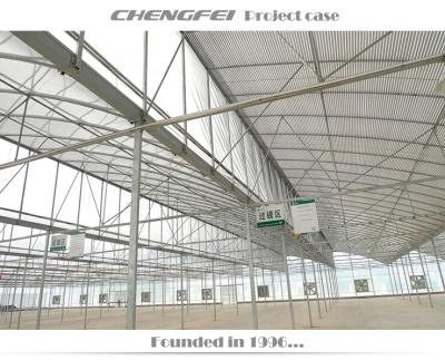 China Stable Structure Commercial Galvanized Tube Greenhouse Made In China for sale