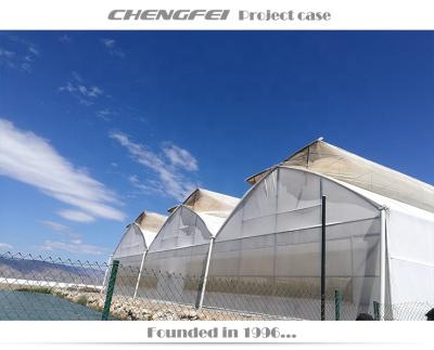 China Stable Structure Automatic ChengFei Water Powder Poultry Dosatron For Animalfarm / Greenhouse for sale