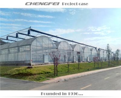 China Stable Structure Multi-span Greenhouse And Other Greenhouse For Aquaculture for sale