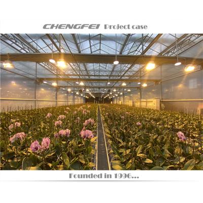 China Solid structure /Farm plant flower using CO2 supplement system for sale