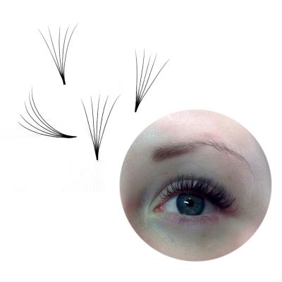 China Natural Pre Made Long Fans 10d 0.05 C D Curl Short Stem Pointed Extensions Free Sample Eyelash Black Color And Private Label for sale