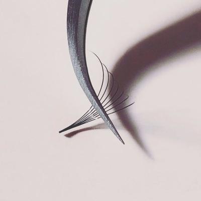 China Natural Free Sample Long L Curl Premade Fan Volume Fans False Eyelash Extensions 0.1 0.07 0.05 mm for sale