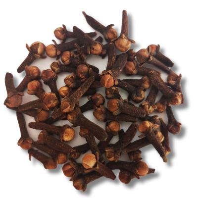 China High Quality Indonesian Clove Dried Single Spice Grade for sale