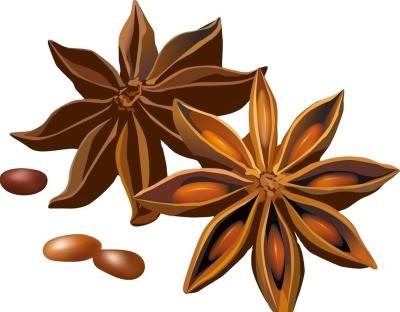 China Dried Star Anise Origin Guangxi Dried Star Anise Export Seed for sale