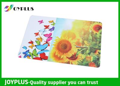 China OEM de Placemats de la mesa de comedor de JOYPLUS PP/ODM plásticos los 45X30CM aceptables en venta