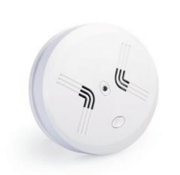 China Hot Selling Wireless Carbon Monoxide Detector 433mhz Co Detector For Home Security Alarm System HAK-CO-06R for sale