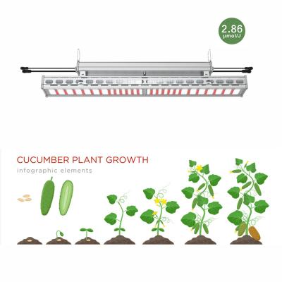 China Seed Starting Large Scale Horticulture Greenhouse Led For Growing Light Powerful And Efficient 550W Full Spectrum LED For Growing Light for sale