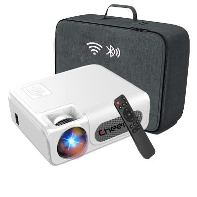 China Pico Easy To Take Mini HD Home Media Beamer Wifi Connection Projector with Carrying Case for sale