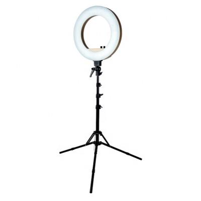 China Professional Selfie LED Photographic Lighting Photo Props Light/Photography Makeup/Selfie Camera 18 Inch Dimmable Led Ring Light With Tripod Stand for sale