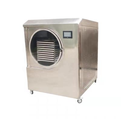 China Medicine Processing High Quality Fruit And Vegetable Vacuum Freeze Dryer With Dryer Machine CE Industrial for sale